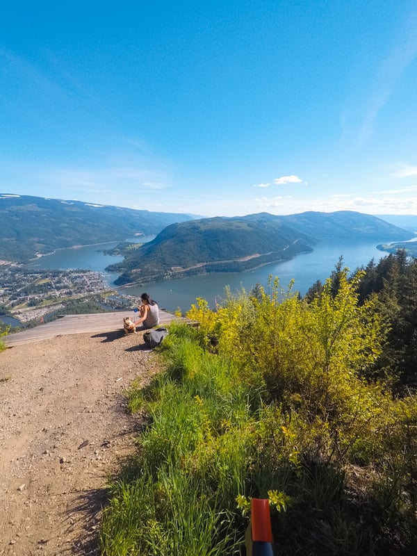 Panoramic view from Sicamous Lookout showing Shuswap Lake, Mara Lake, and the surrounding North Okanagan mountains