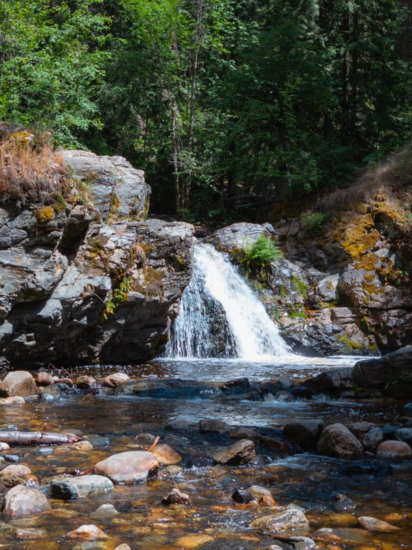 Shaded creek and small waterfall along Mill Creek trail