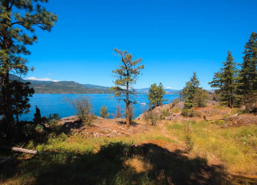 Hiking trail along Okanagan Lake in Ellison Provincial Park on a sunny, summer day.