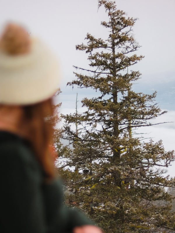 View over a wintery snowshoe trail.