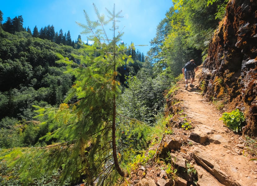 Exposed and narrow section of the Lava Canyon Trail with steep drop-offs in Section 3 near Mount St. Helens