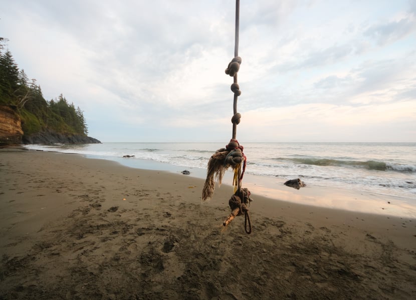 Rope swing hanging from a tree at Mystic Beach with the ocean in the background