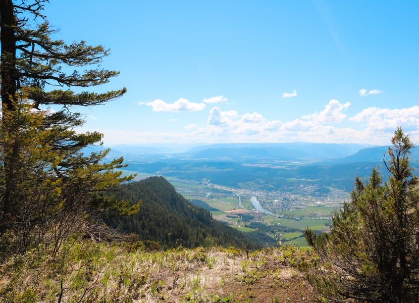 View from the top of the Enderby Cliffs of the North Okanagan.