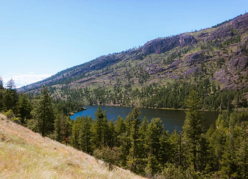 The Rose Valley reservoir is barely visible through trees