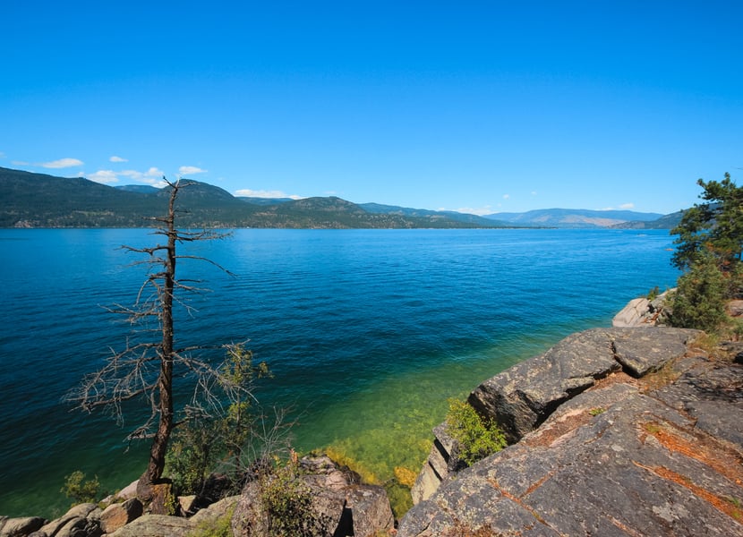 Beautiful summer day at Ellison park in Vernon