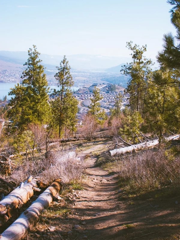 A view of a trail looking down towards Lake Country