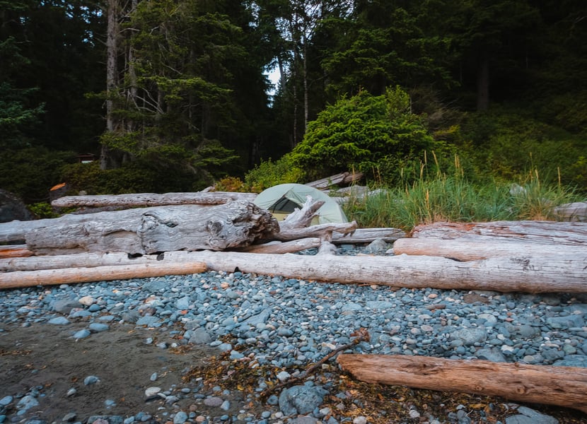 Tent set up in the driftwood on Mystic Beach, facing the forest with trees in the background.