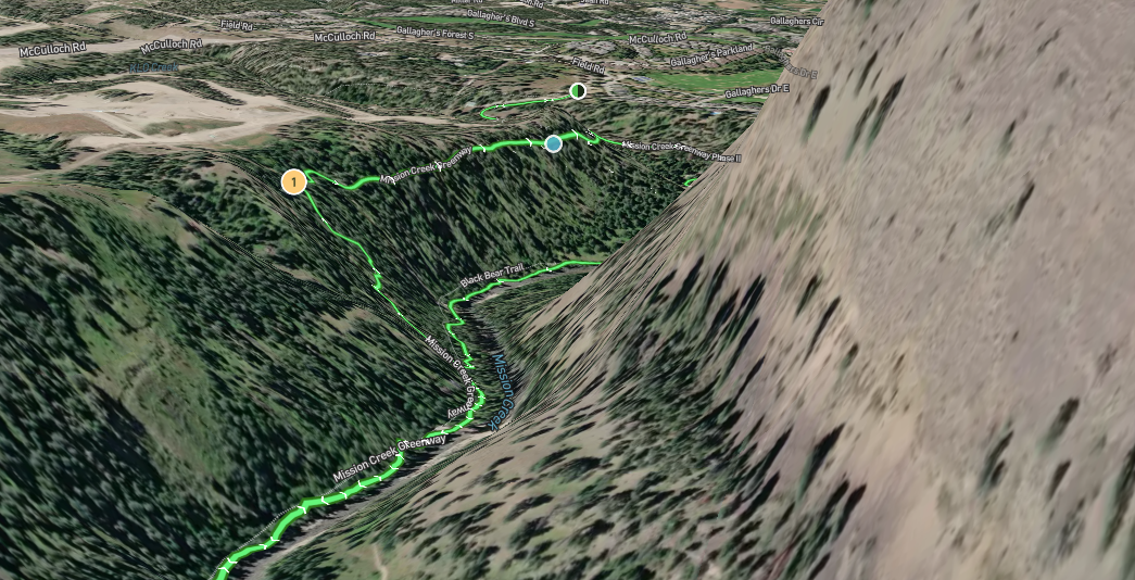 Black Bear Trail at Scenic Canyon in Kelowna is one of my favourite hikes