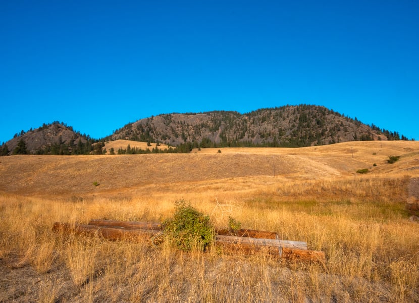 Open, grassy field with a mountain in the background. The sky is very blue.