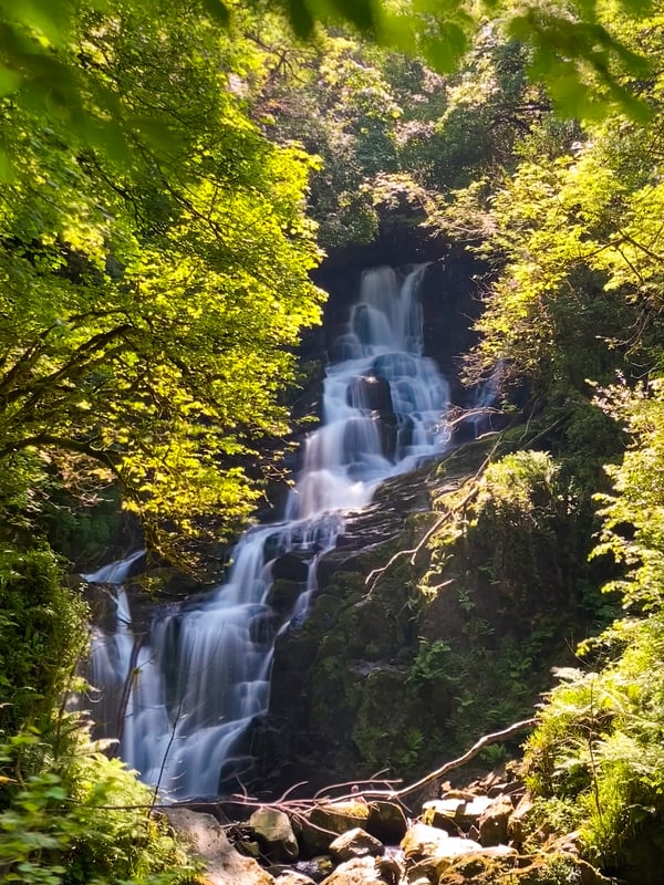 A tiered waterfall visible through a frame of trees