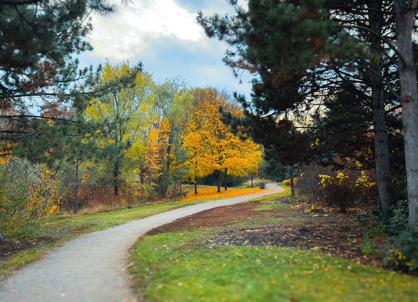 Brandt’s Creek Linear Park in the fall.