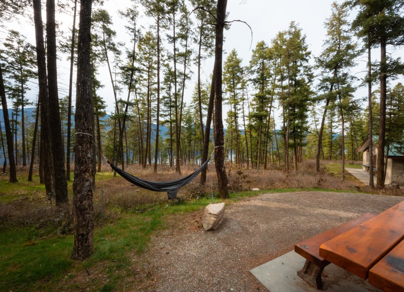 Hammock in the trees at a campsite at Ellison
