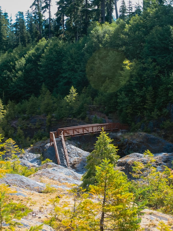 Steel bridge crossing the Muddy River at the beginning of the second section of the Lava Canyon Trail near Mount St. Helens