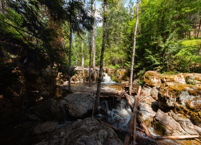 Second waterfall on Mill Creek trail surrounded by mossy rocks