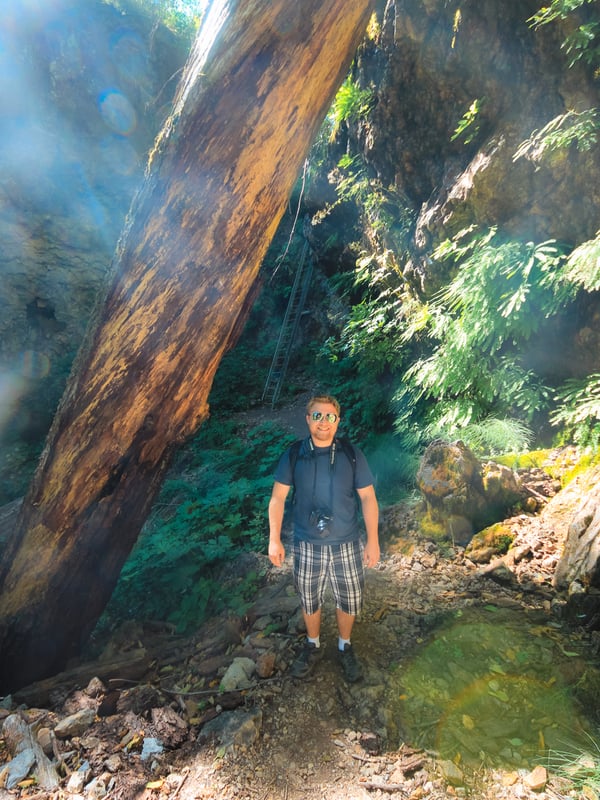 Man standing beneath a massive fallen log with the 30-foot ladder visible in the background on the Lava Canyon Trail near Mount St. Helens