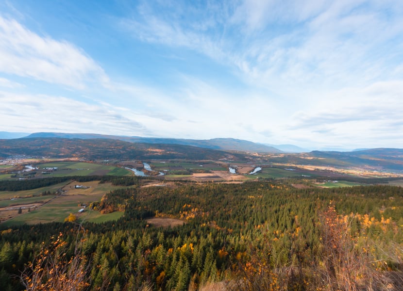 View from the midpoint of the Enderby Cliffs trail that overlooks the Shuswap River and Okanagan Valley. It's fall.