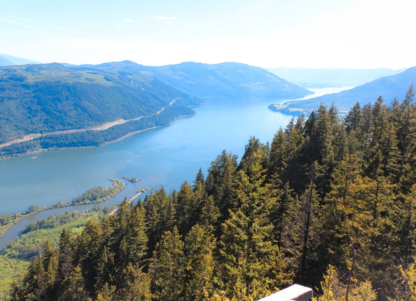 Overhead view of Mara Lake and Shuswap Lake from Sicamous Lookout with forested hills and blue skies