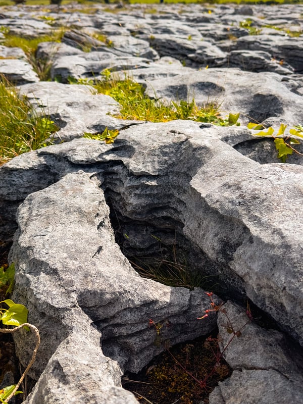 Close up of the limestone pavement near Poulnabrone Dolmen in County Clare, Ireland.