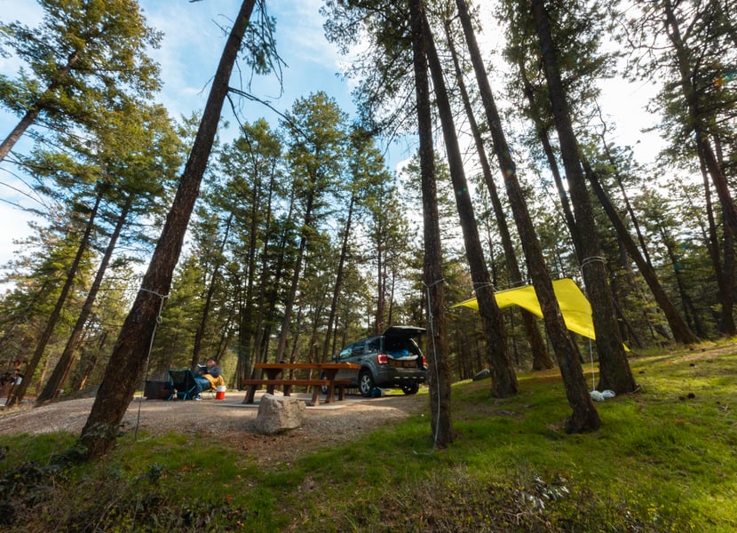 Camp setup in a forest in BC. Yellow tarp in the trees.