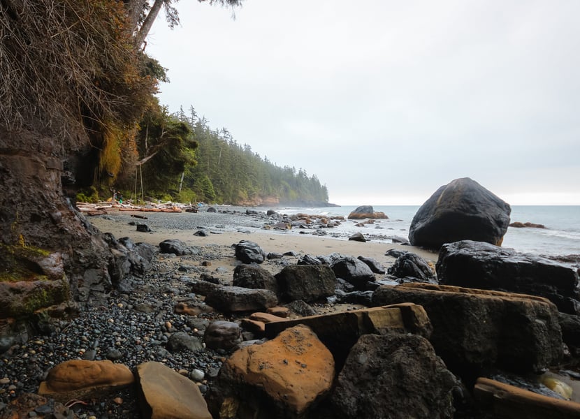 Rocky shoreline at Mystic Beach, with scattered driftwood and the ocean stretching into the distance.