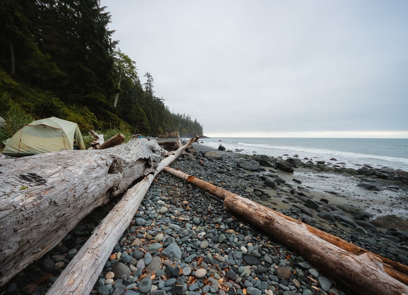 Tent set up behind driftwood on Mystic Beach with ocean views and a peaceful beach setting.