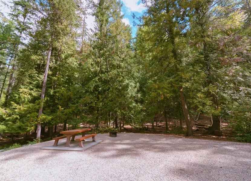 Campsite at Texas Creek campground