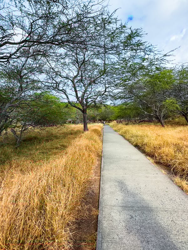 Flat section of the Diamond Head crater trail.