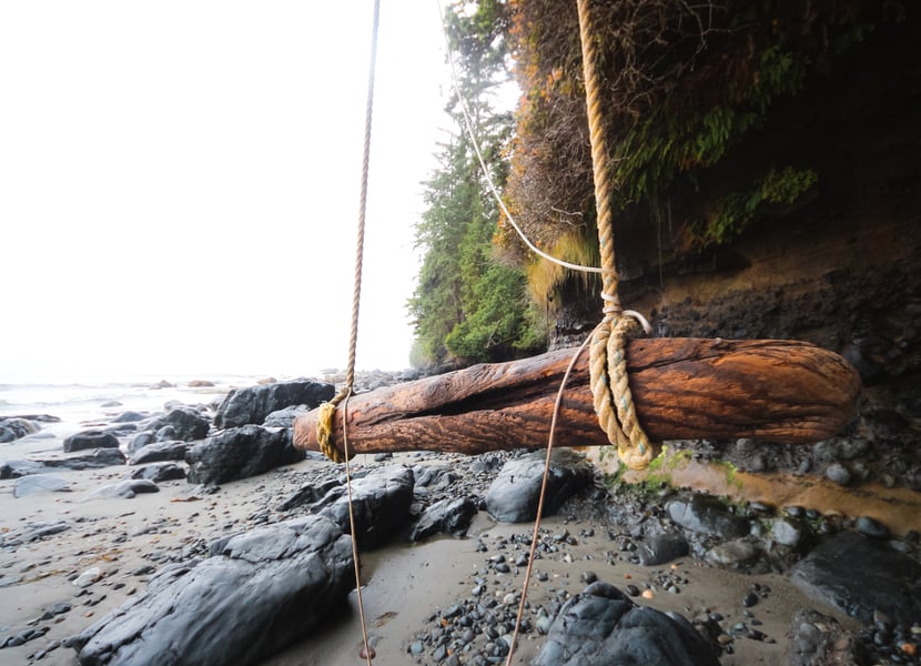 Rope swing hanging from a tree at Mystic Beach, with the ocean and rocky shoreline in the background.