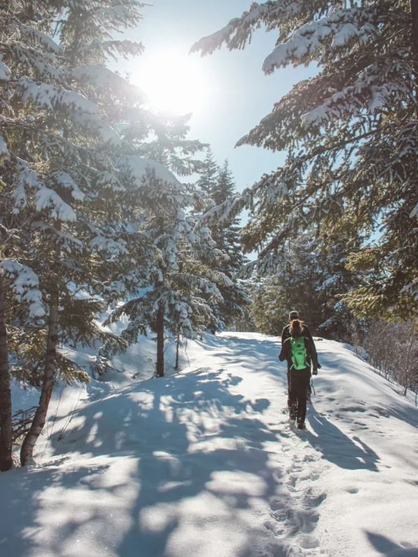 Walking through a winter wonderland at Myra Canyon