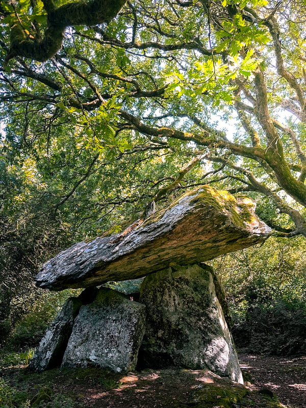 The side view of an ancient megalithic portal tomb in Ireland