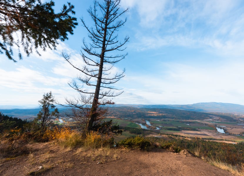 The Larch Hills Lookout on the Enderby Cliffs hiking trail.