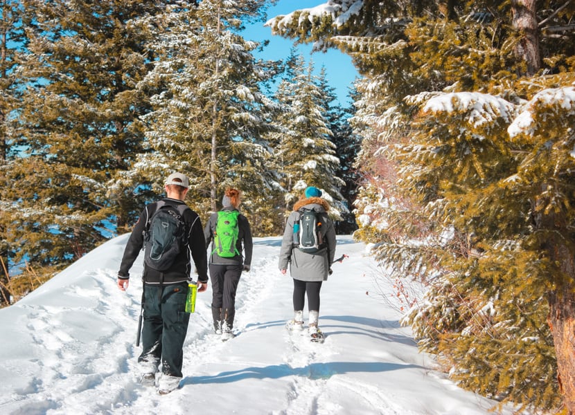 Three people snowshoeing through the forests at Myra Canyon.