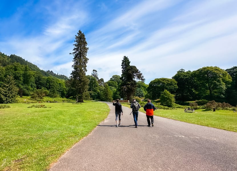 Three people walking on a paved trail in a lush green valley.
