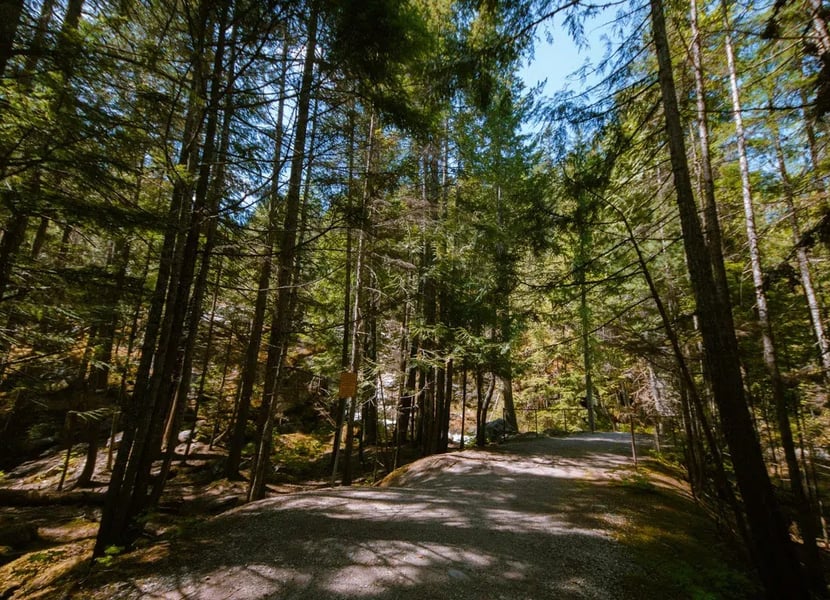 Gravel trail through the forest.