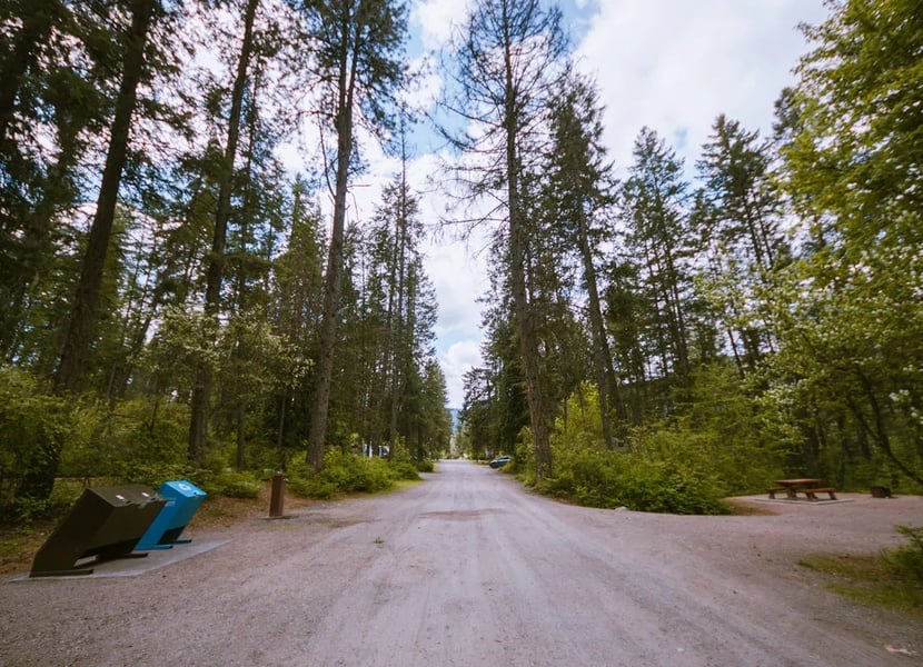Road through the campground at Texas Creek