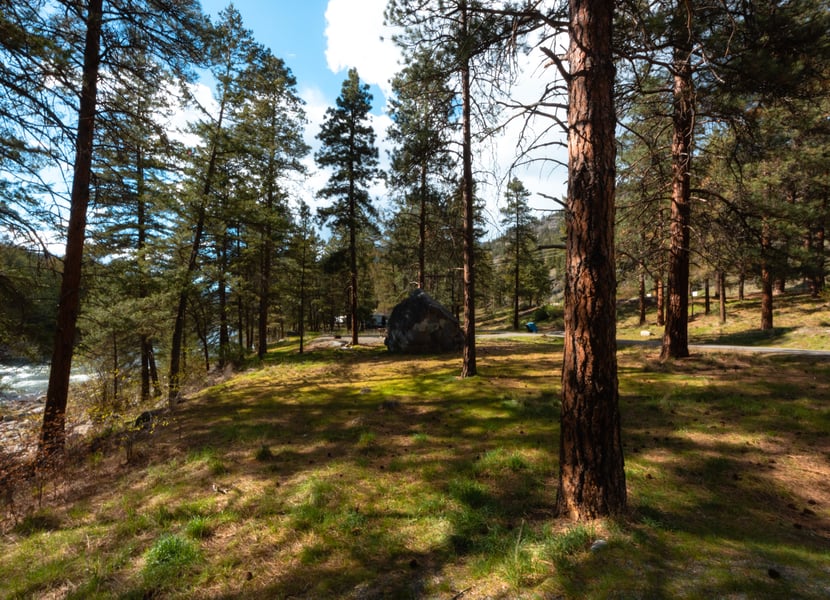 The campground at Stemwinder Provincial Park has tall Ponderosa pines and little underbrush