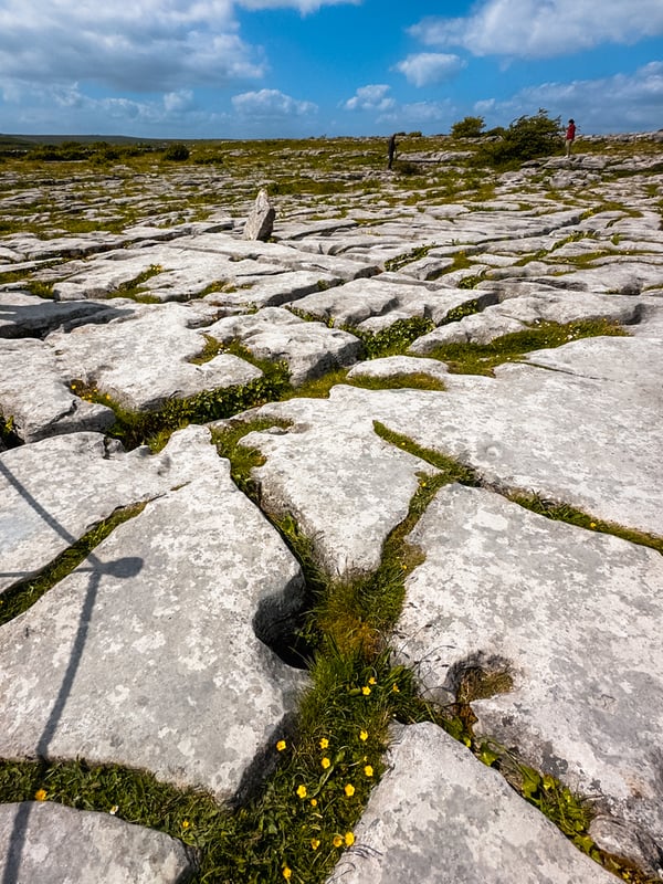 Cracked limestone rocks in the Burren, Ireland