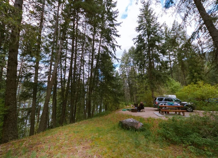 Open campsite on the edge of a forest
