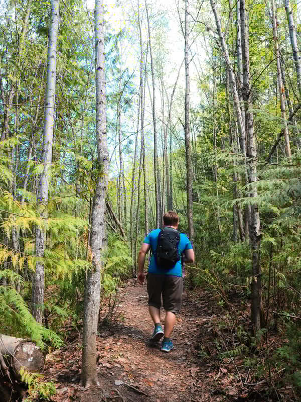 Man hiking through a forest on the Enderby Cliffs hiking trail.
