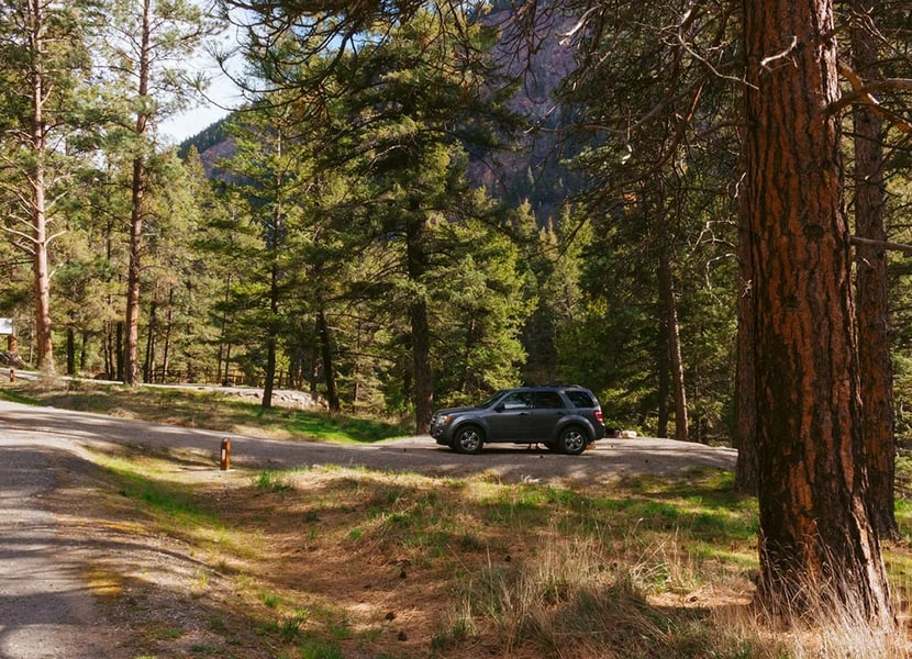A car camping SUV is parked in a campsite at Stemwinder Provincial Park in a sparse forest.