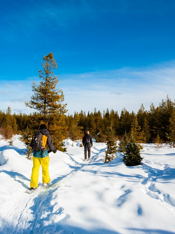 Two people snowshoeing at Kelowna Nordic Club on a sunny day.