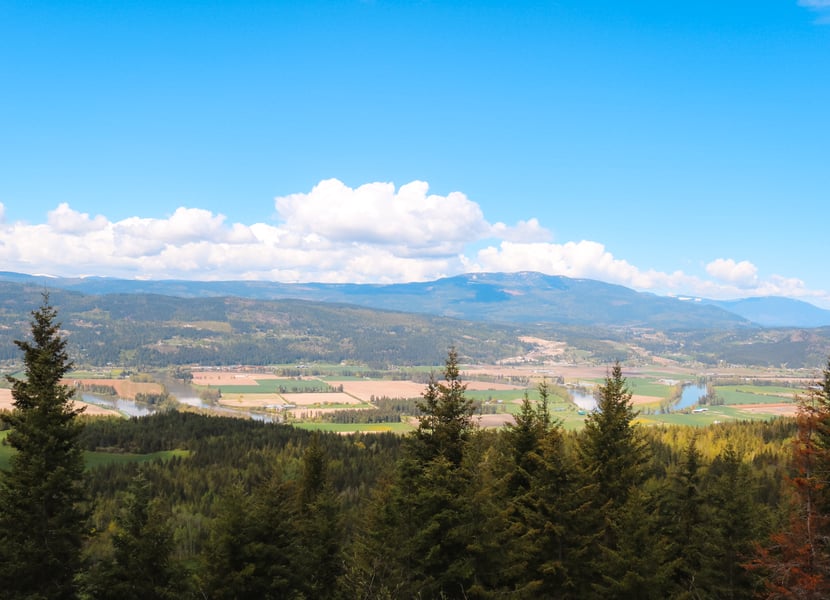 Midway point of the Enderby Cliffs hike with views of the valley peeking out above the forest.