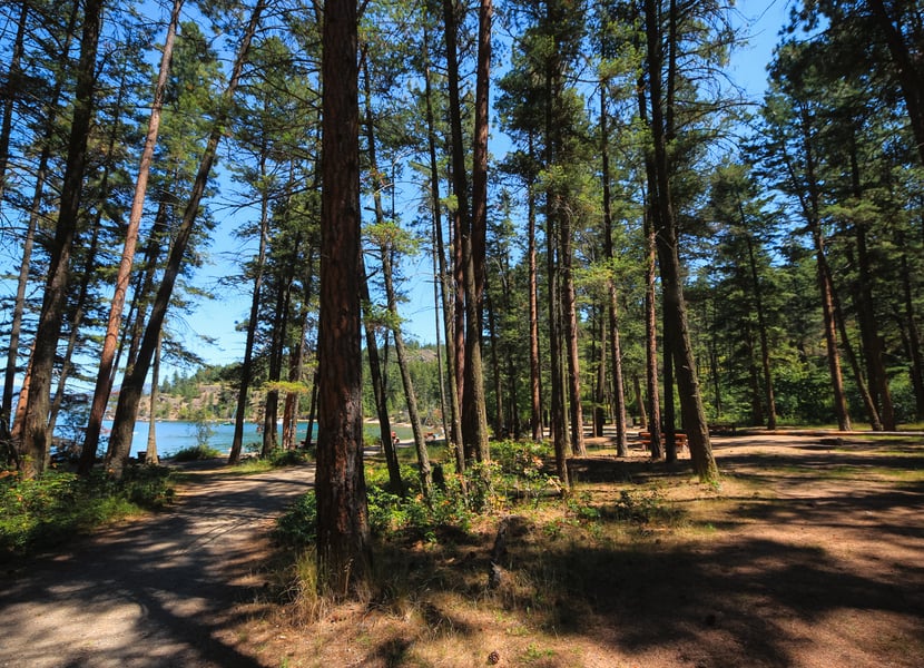 Day-use picnics in the trees at Ellison Provincial Park