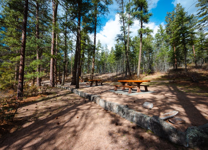 Picnic tables above South Bay beach