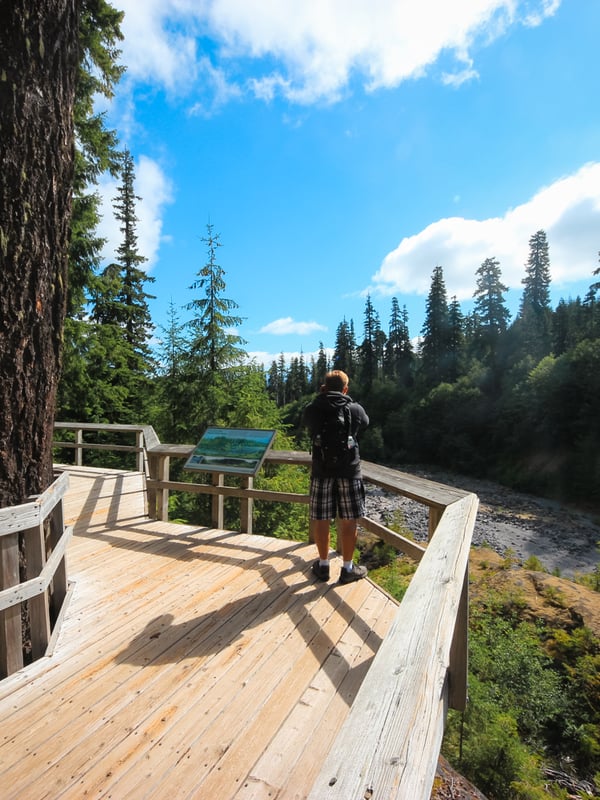 Wooden boardwalk surrounded by forest at the start of the Lava Canyon Trail near Mount St. Helens