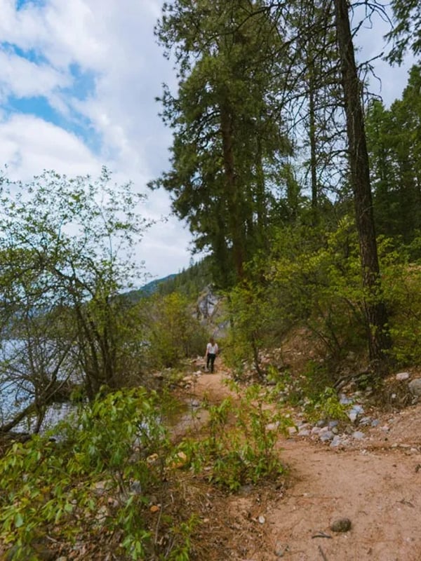 Hiking trail from Texas Creek campground to the water