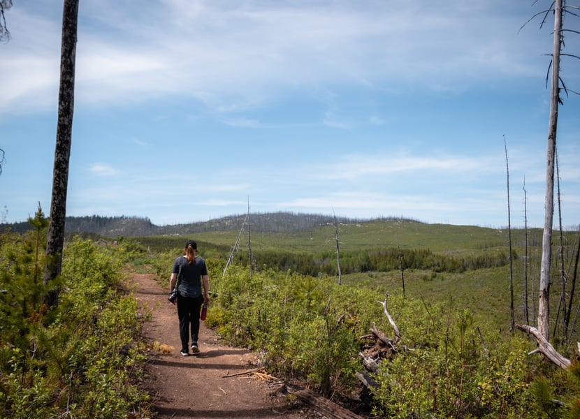 Woman walks on the Christie Falls trail. There are very few trees with a great view of the area.