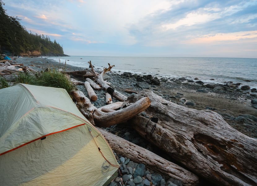 Tent set up in driftwood on Mystic Beach, facing the ocean with stunning views of the shoreline.