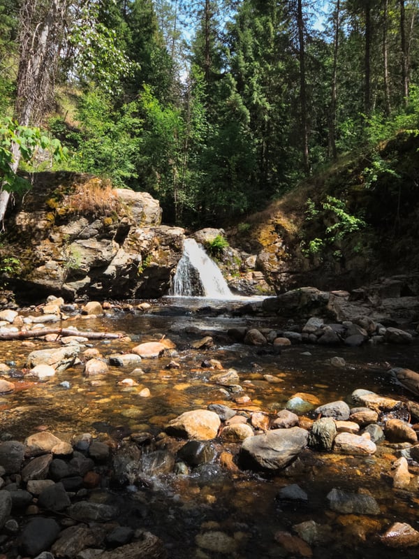 Easy-to-reach waterfall at Mill Creek Regional Park, perfect for families