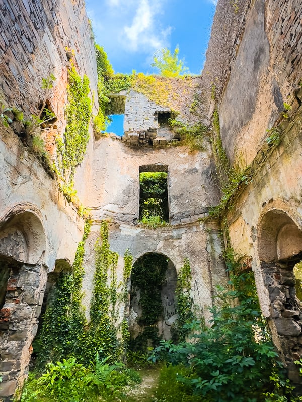 Looking inside an old manor, walls covered in ivy.